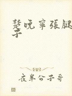 楚晚宁张腿放棋子