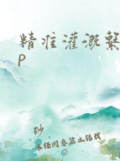 精准灌溉系统hp