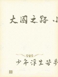 大国之路 小说