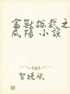 禽兽总裁之虐爱成殇 小说