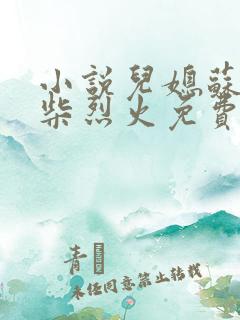 小说儿媳苏玥干柴烈火免费阅读