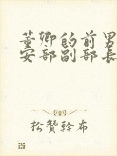 董卿的前男友公安部副部长