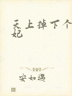 天上掉下个奇王妃