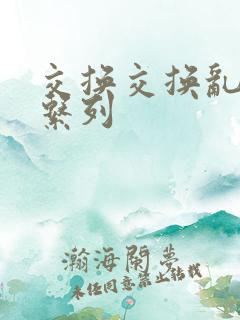 交换交换乱杂烩系列