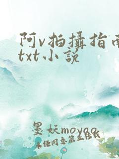 阿v拍摄指南说txt小说