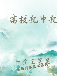 高校龙中龙