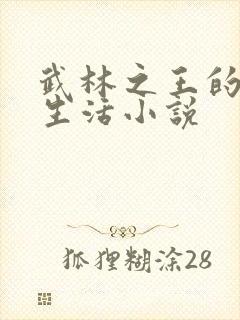 武林之王的退隐生活小说