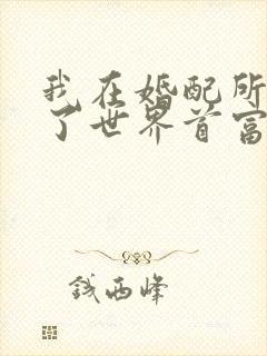 我在婚配所摇到了世界首富小说