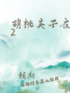 胡桃夹子夜未眠2