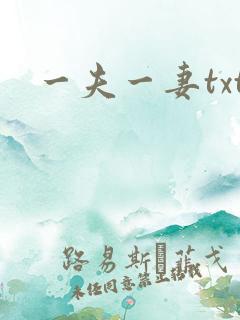 一夫一妻txt