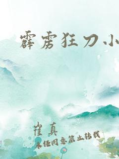 霹雳狂刀小说
