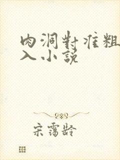 肉洞对准粗大坐入小说