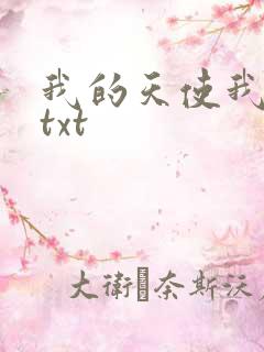 我的天使我的爱txt