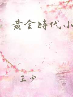 黄金时代小说
