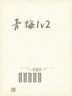 青梅1v2