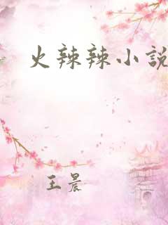 火辣辣小说全集