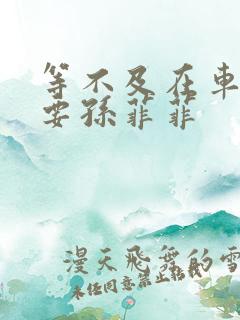 等不及在车里就要孙菲菲