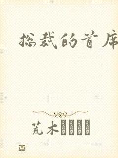 总裁的首席保姆