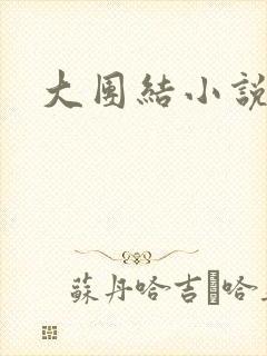 大团结小说全文