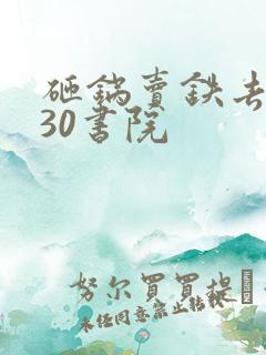 砸锅卖铁去上学30书院