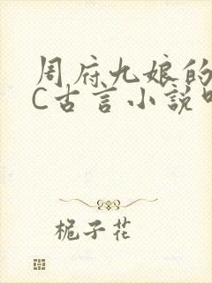 周府九娘的NPC古言小说叫什么