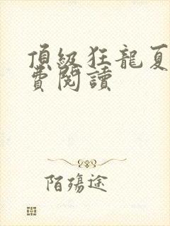 顶级狂龙夏天免费阅读