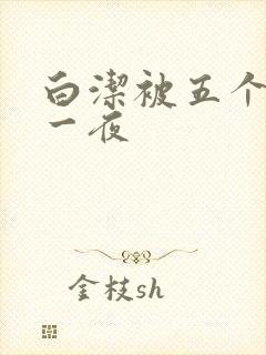 白洁被五个人玩一夜