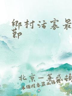 乡村活寡最新章节