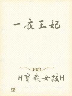 一夜王妃
