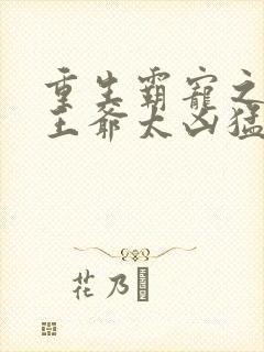 重生霸宠之摄政王爷太凶猛