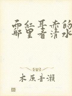 面红耳赤的小说哪里看清水村花