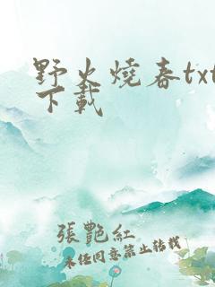 野火烧春txt下载