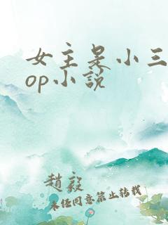女主是小三的pop小说