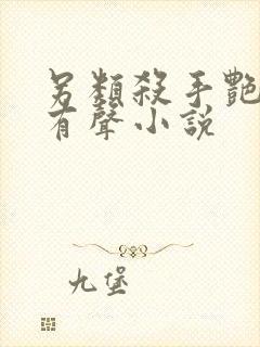 另类杀手艳福星有声小说