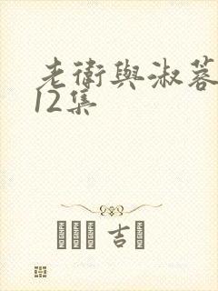 老卫与淑蓉1一12集