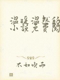 温暖温然的穿越小说免费阅读