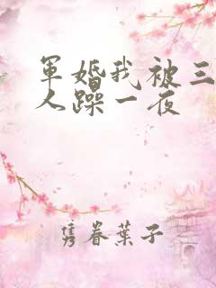 军婚我被三个男人躁一夜