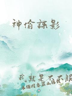 神偷谍影