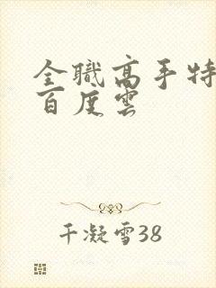 全职高手特别篇百度云