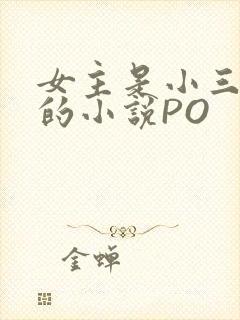 女主是小三很婊的小说PO