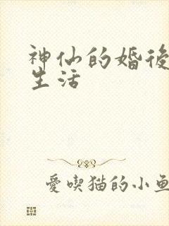 神仙的婚后都市生活