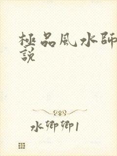 极品风水师 小说