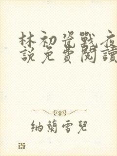 林初瓷战夜擎小说免费阅读