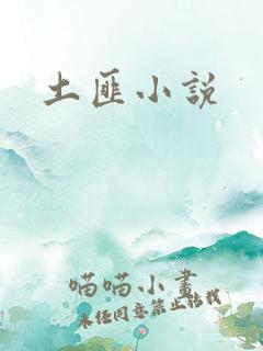 土匪小说