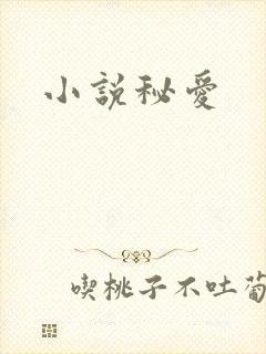 小说秘爱