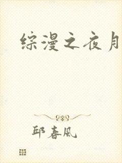 综漫之夜月
