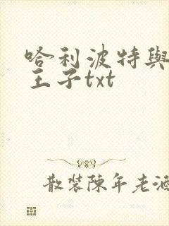 哈利波特与混血王子txt