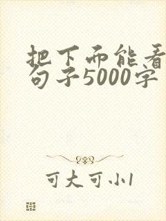 把下面能看湿的句子5000字