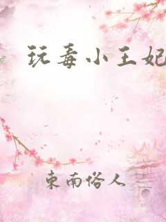 玩毒小王妃