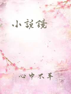 小说镜